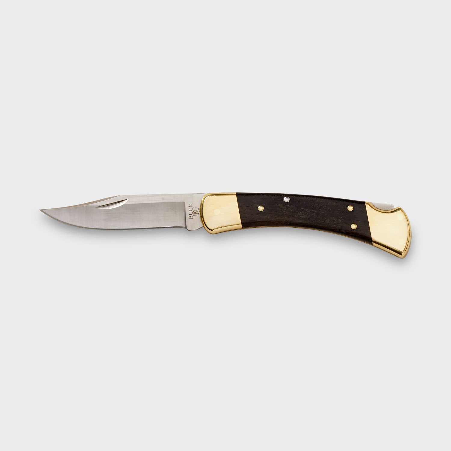 Buck 110 Folder, 60308